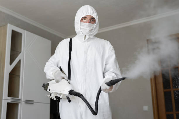 Best Commercial Mold Inspection in West Bay Shore, NY